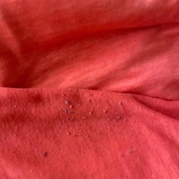 GreenTea Orange Crop Pants Lounge Set S - Picture 15 of 15